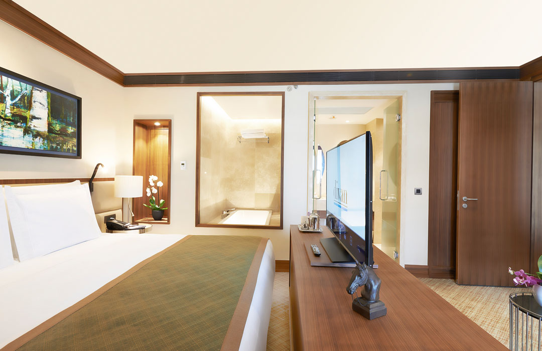 Divan Adana Tek Yatak Odalı Suit Oda