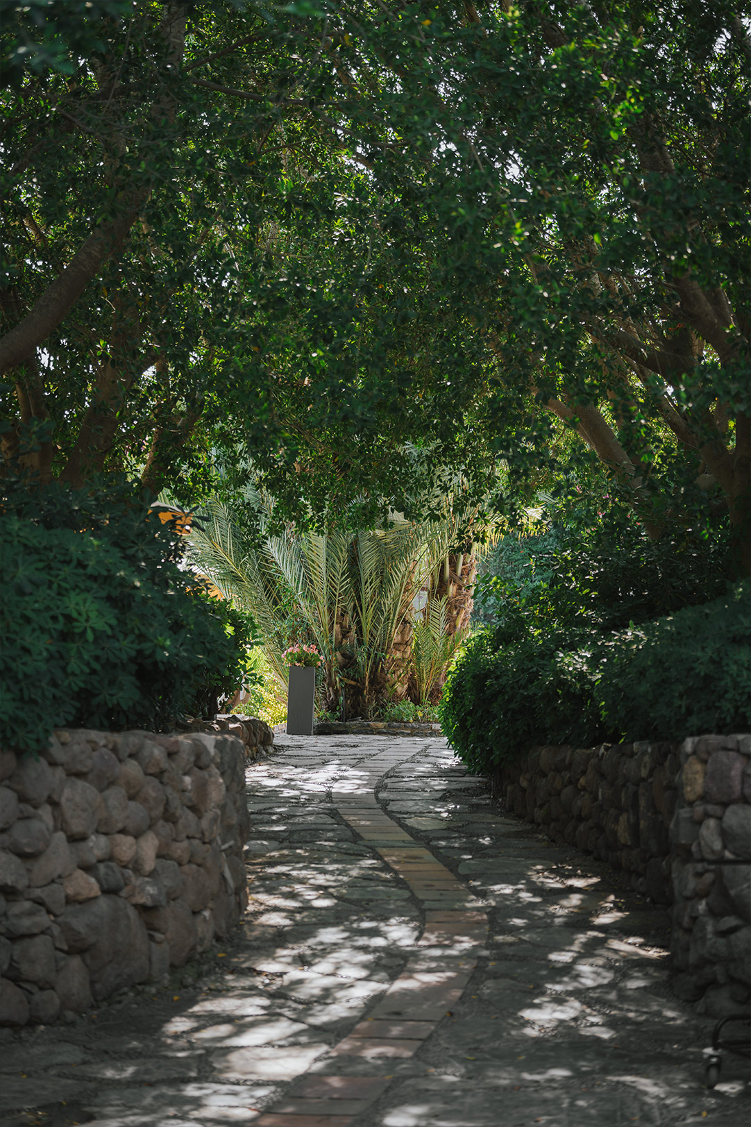 Divan Bodrum Genel Alan