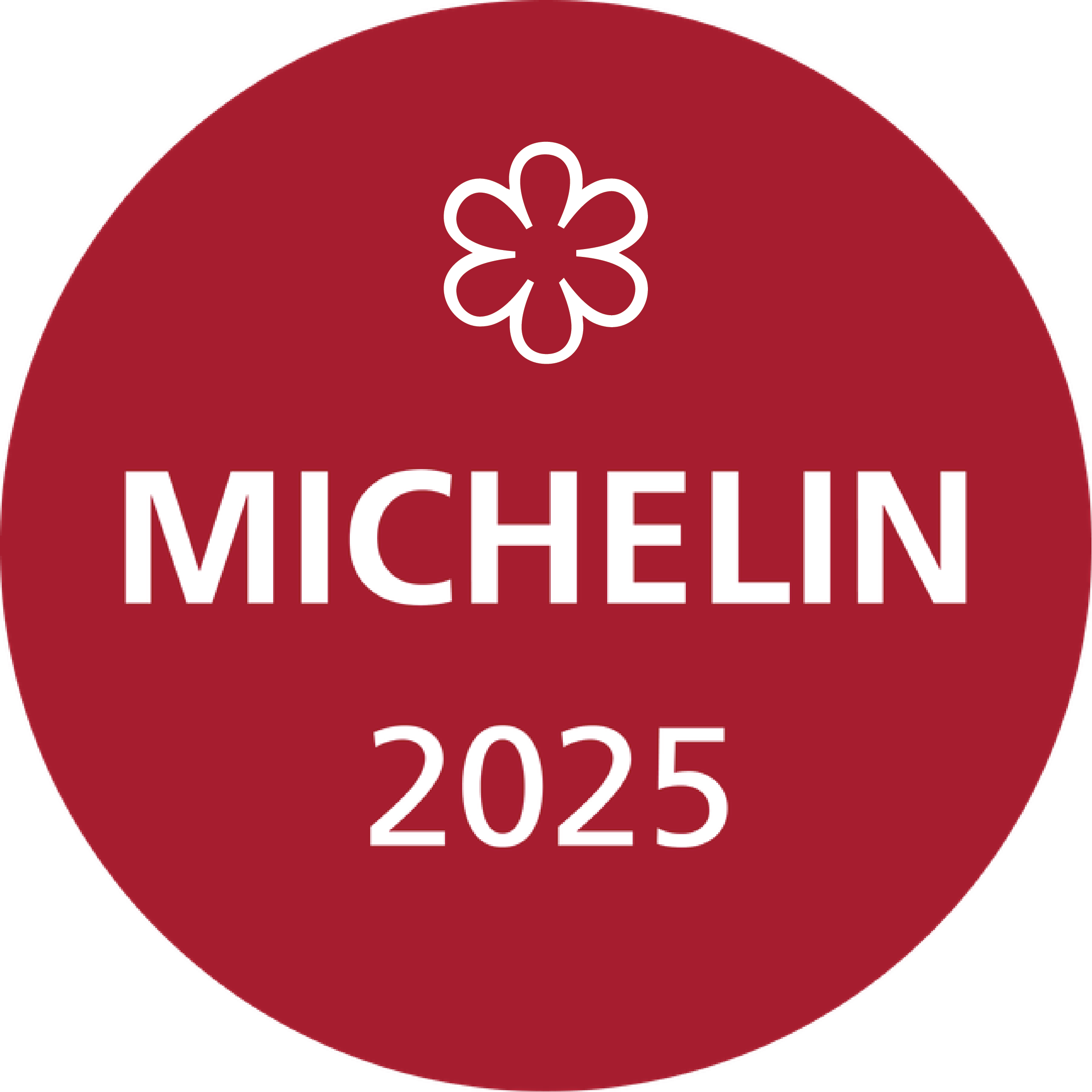 MICHELIN