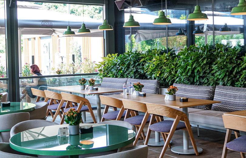 divan cafeteria liv hospital divan divan cafeteria liv hospital divan