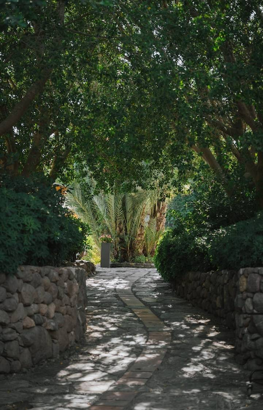 Divan Bodrum Genel Alan