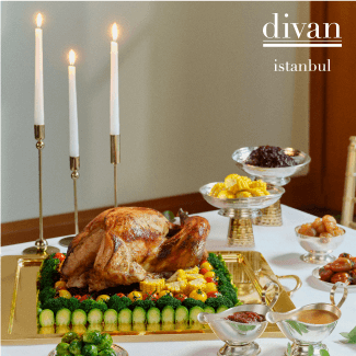 Yılbaşı Hindisi (Bütün)